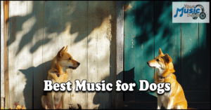 Read more about the article Best Music for Dogs: Soothing Tunes for Pups