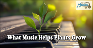 Read more about the article What Music Helps Plants Grow: What Helps Them Thrive?